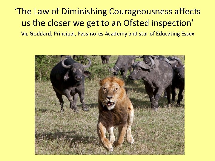 ‘The Law of Diminishing Courageousness affects us the closer we get to an Ofsted