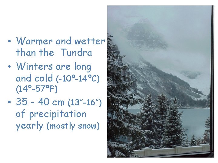 Taiga • Warmer and wetter than the Tundra • Winters are long and cold