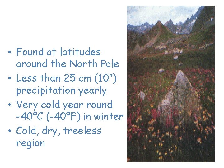 Tundra – “The Cold Desert” • Found at latitudes around the North Pole •