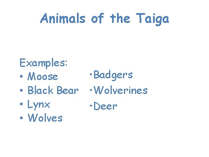 Animals of the Taiga Many animals live in the Taiga. Examples: • Badgers •