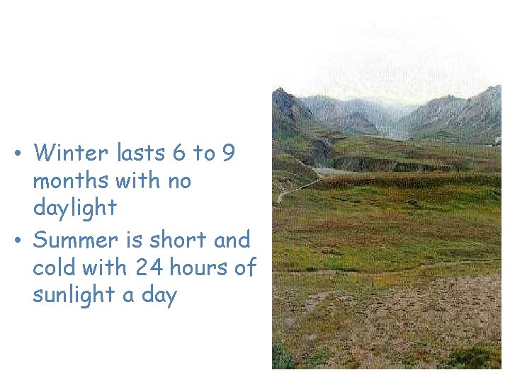 Tundra – “The Land of the Midnight Sun” • Winter lasts 6 to 9