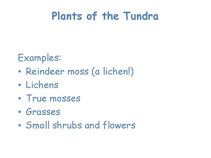 Plants of the Tundra plants are resistant to drought and cold Examples: • Reindeer
