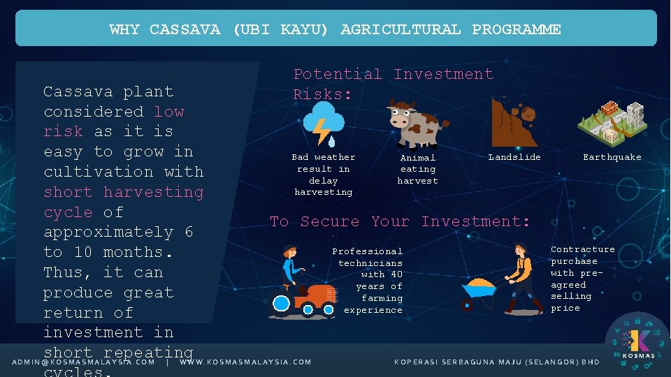 WHY CASSAVA (UBI KAYU) AGRICULTURAL PROGRAMME Potential Investment Risks: Cassava plant considered low risk
