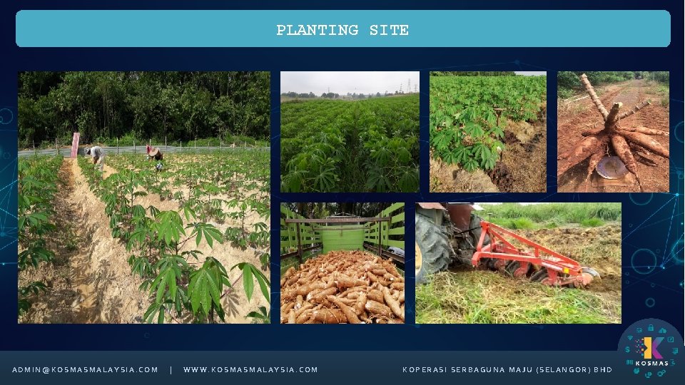 PLANTING SITE ADMIN@KOSMASMALAYSIA. COM | WWW. KOSMASMALAYSIA. COM KOPERASI SERBAGUNA MAJU (SELANGOR) BHD 