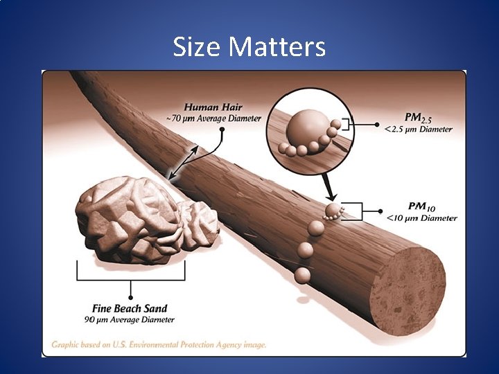 Size Matters 