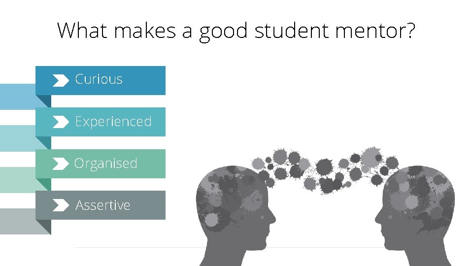 What makes a good student mentor? Curious Experienced Organised Assertive 