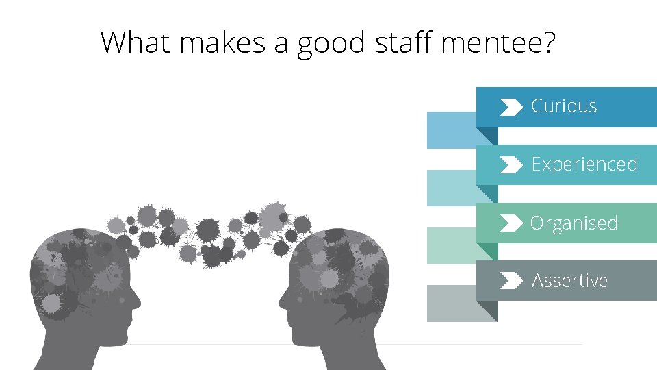What makes a good staff mentee? Curious Experienced Organised Assertive 
