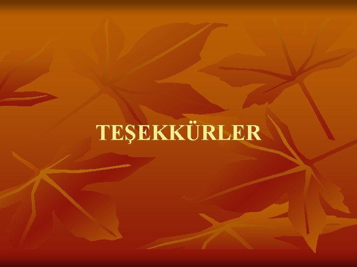 TEŞEKKÜRLER 