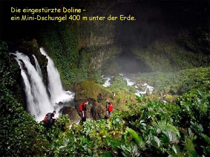 Die eingestürzte Doline – ein Mini-Dschungel 400 m unter der Erde. 