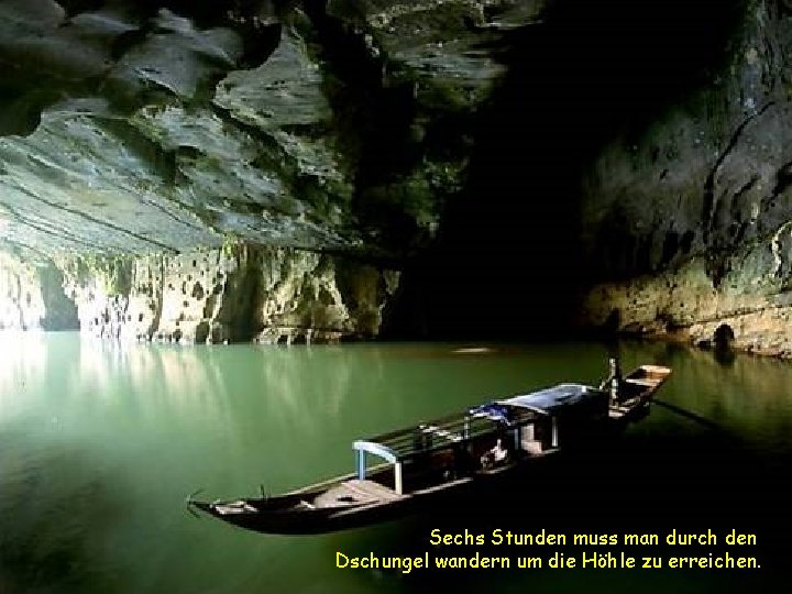 Sechs Stunden muss man durch den Dschungel wandern um die Höhle zu erreichen. 