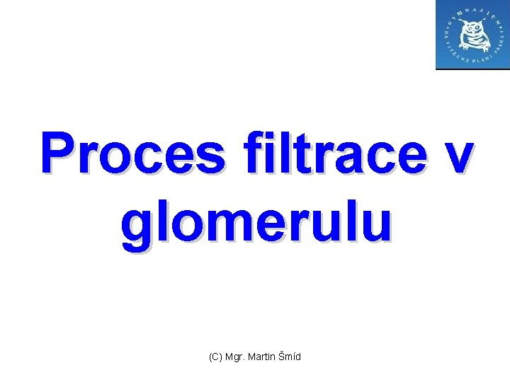 Proces filtrace v glomerulu (C) Mgr. Martin Šmíd 