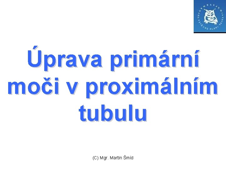 Úprava primární moči v proximálním tubulu (C) Mgr. Martin Šmíd 