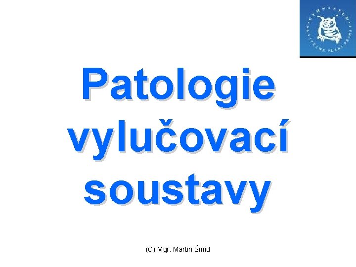 Patologie vylučovací soustavy (C) Mgr. Martin Šmíd 