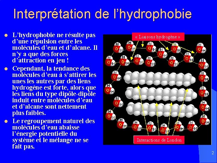 Interprétation de l’hydrophobie l l l L’hydrophobie ne résulte pas d’une répulsion entre les