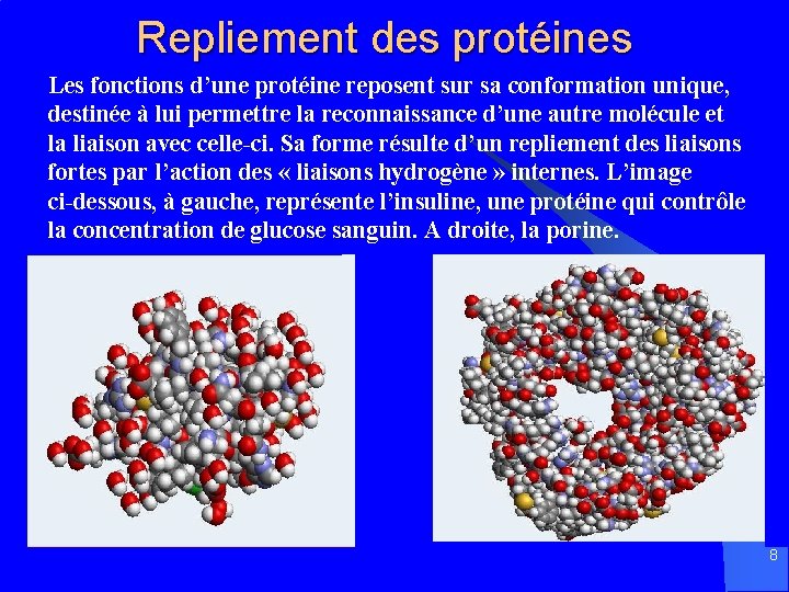 Repliement des protéines Les fonctions d’une protéine reposent sur sa conformation unique, destinée à