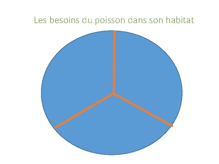 Les besoins du poisson dans son habitat 