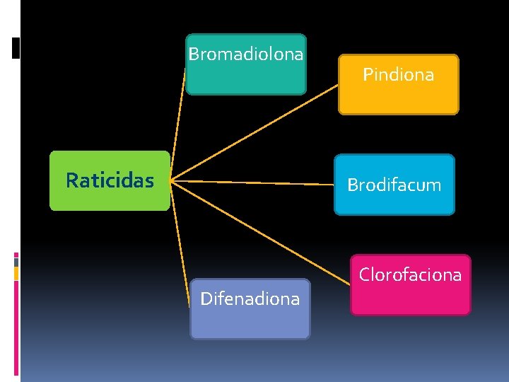 Bromadiolona Raticidas Pindiona Brodifacum Difenadiona Clorofaciona 