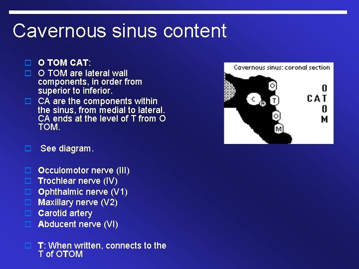 Cavernous sinus content o O TOM CAT: o O TOM are lateral wall components,