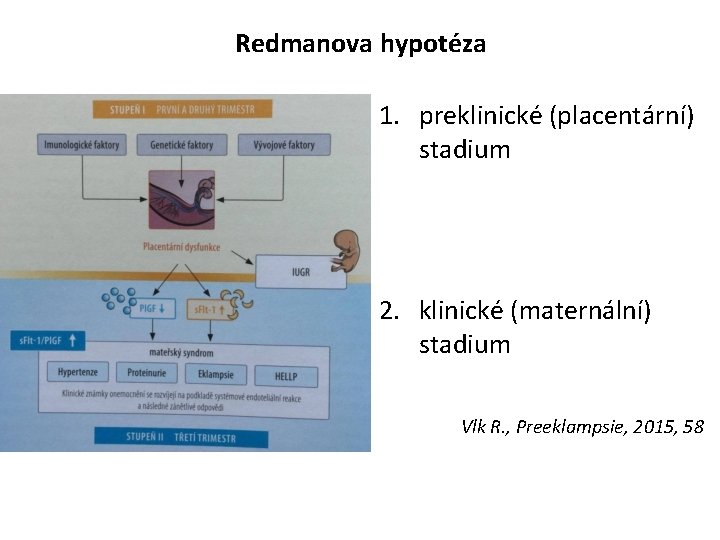 Redmanova hypotéza 1. preklinické (placentární) stadium 2. klinické (maternální) stadium Vlk R. , Preeklampsie,