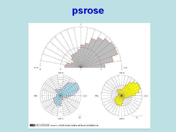 psrose 