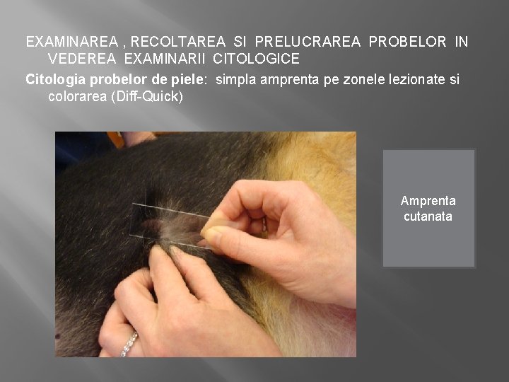 EXAMINAREA , RECOLTAREA SI PRELUCRAREA PROBELOR IN VEDEREA EXAMINARII CITOLOGICE Citologia probelor de piele: