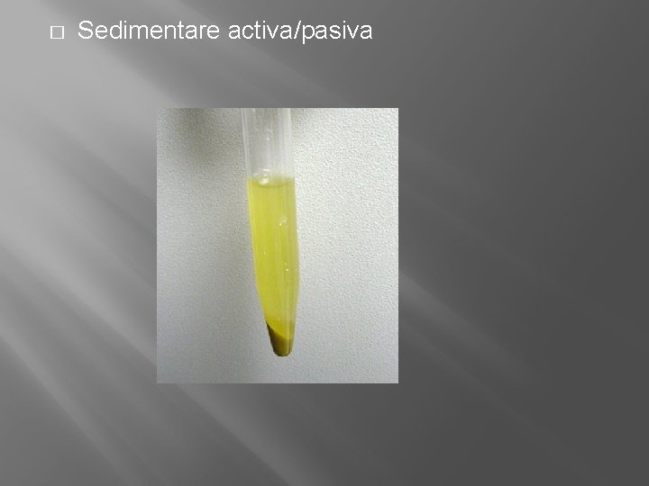 � Sedimentare activa/pasiva 