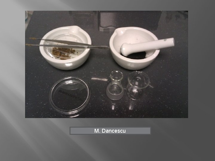 M. Dancescu 