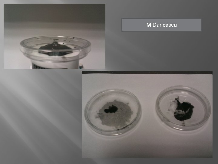 M. Dancescu 