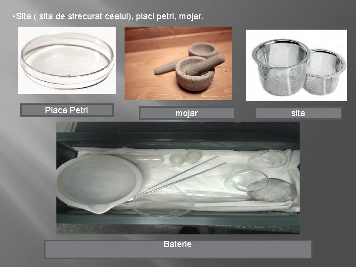  • Sita ( sita de strecurat ceaiul), placi petri, mojar. Placa Petri mojar