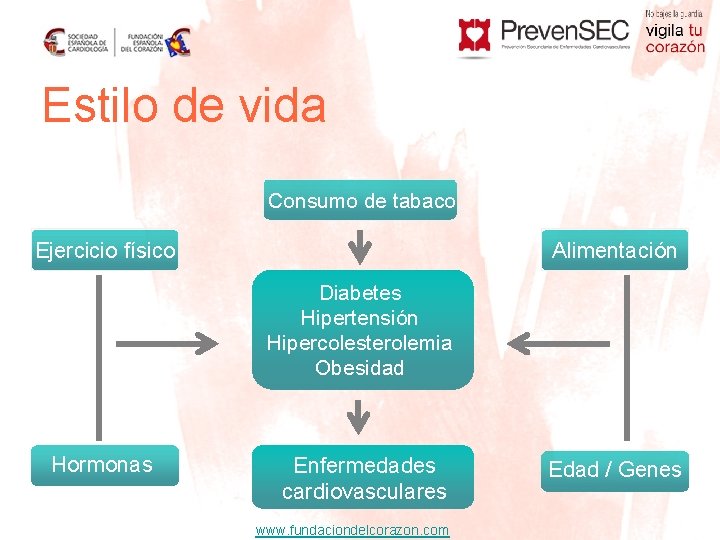 Estilo de vida Consumo de tabaco Ejercicio físico Alimentación Diabetes Hipertensión Hipercolesterolemia Obesidad Hormonas