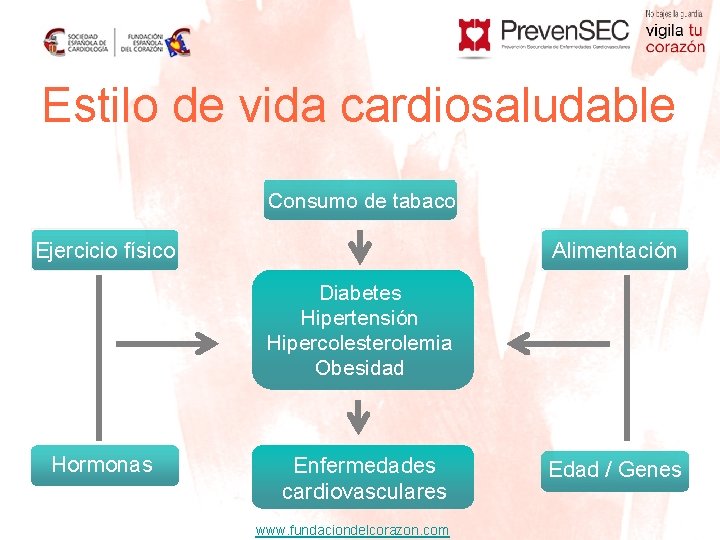 Estilo de vida cardiosaludable Consumo de tabaco Ejercicio físico Alimentación Diabetes Hipertensión Hipercolesterolemia Obesidad