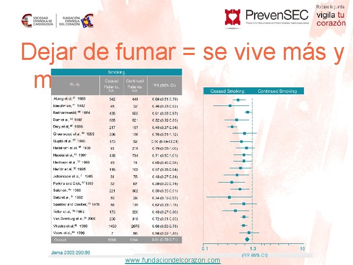 Dejar de fumar = se vive más y mejor www. fundaciondelcorazon. com 