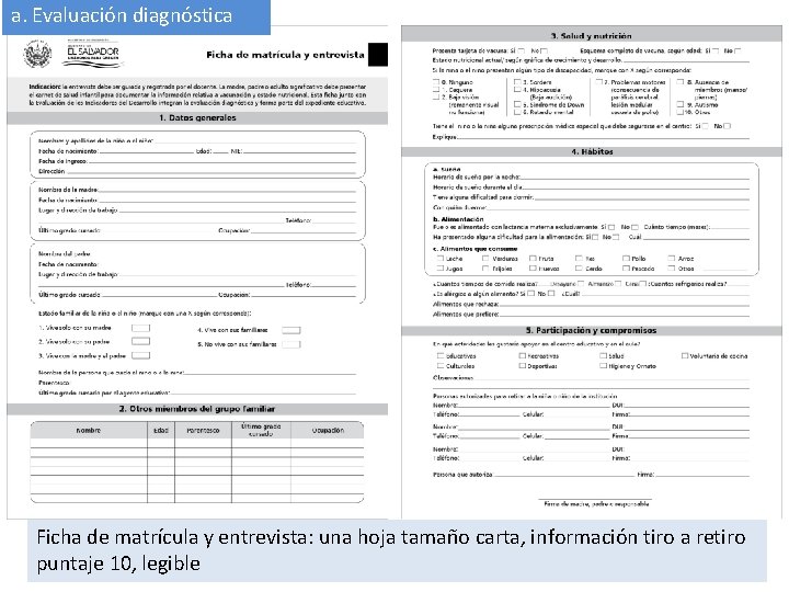 a. Evaluación diagnóstica Ficha de matrícula y entrevista: una hoja tamaño carta, información tiro