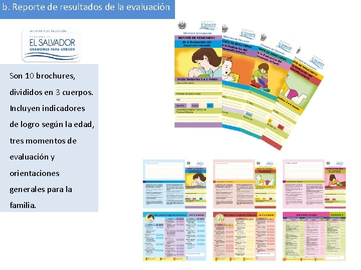 b. Reporte de resultados de la evaluación Son 10 brochures, divididos en 3 cuerpos.