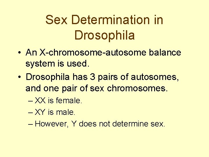 Sex Determination in Drosophila • An X-chromosome-autosome balance system is used. • Drosophila has