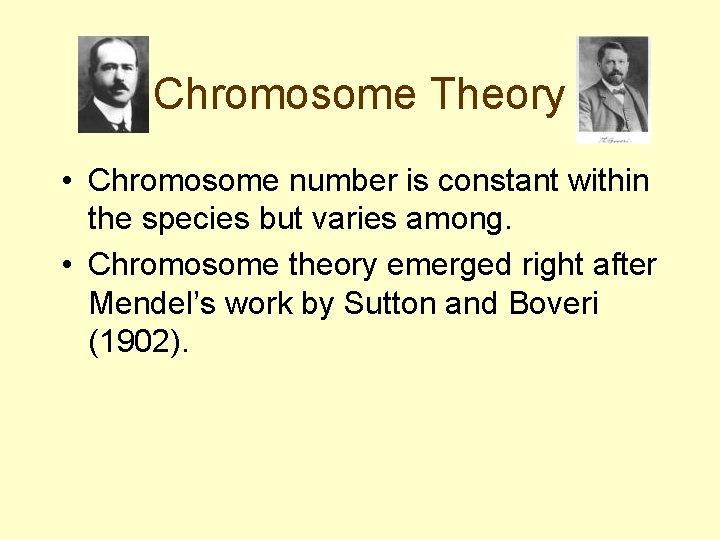 Chromosome Theory • Chromosome number is constant within the species but varies among. •