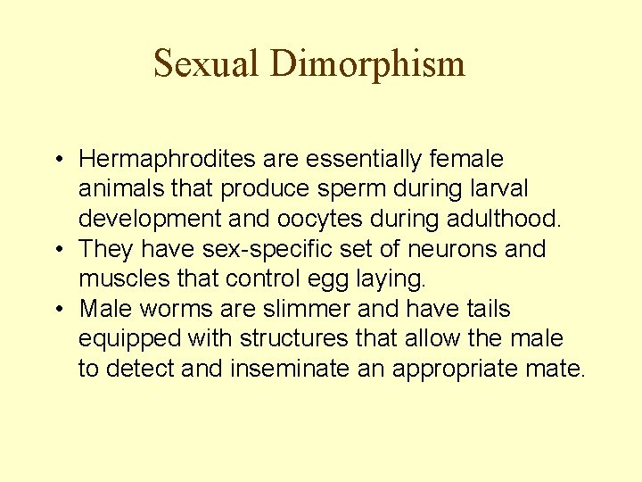 Sexual Dimorphism • Hermaphrodites are essentially female animals that produce sperm during larval development