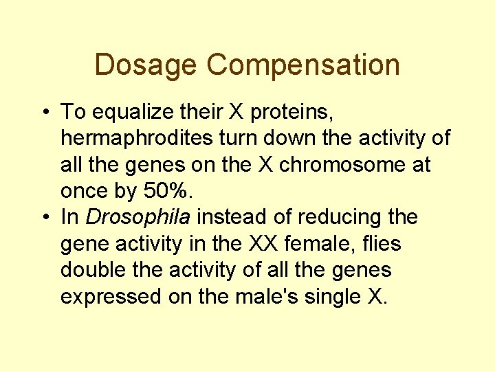 Dosage Compensation • To equalize their X proteins, hermaphrodites turn down the activity of