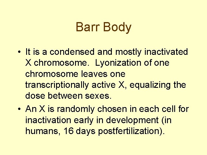 Barr Body • It is a condensed and mostly inactivated X chromosome. Lyonization of