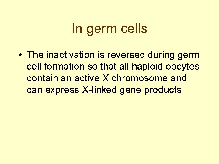 In germ cells • The inactivation is reversed during germ cell formation so that