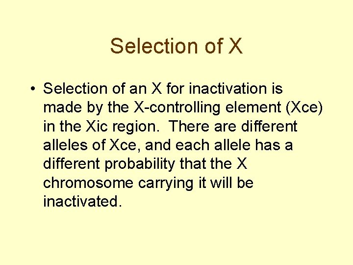 Selection of X • Selection of an X for inactivation is made by the