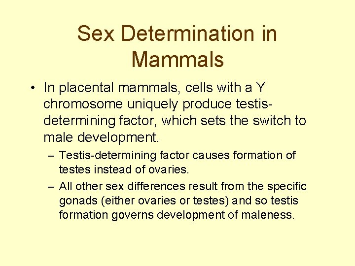 Sex Determination in Mammals • In placental mammals, cells with a Y chromosome uniquely