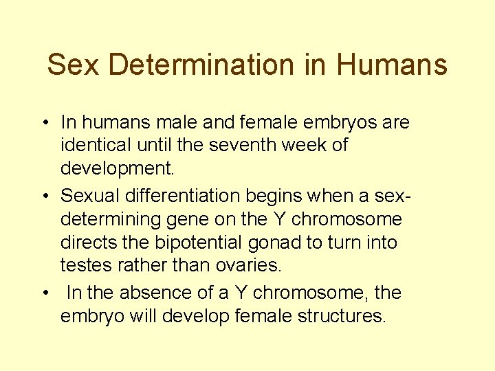 Sex Determination in Humans • In humans male and female embryos are identical until