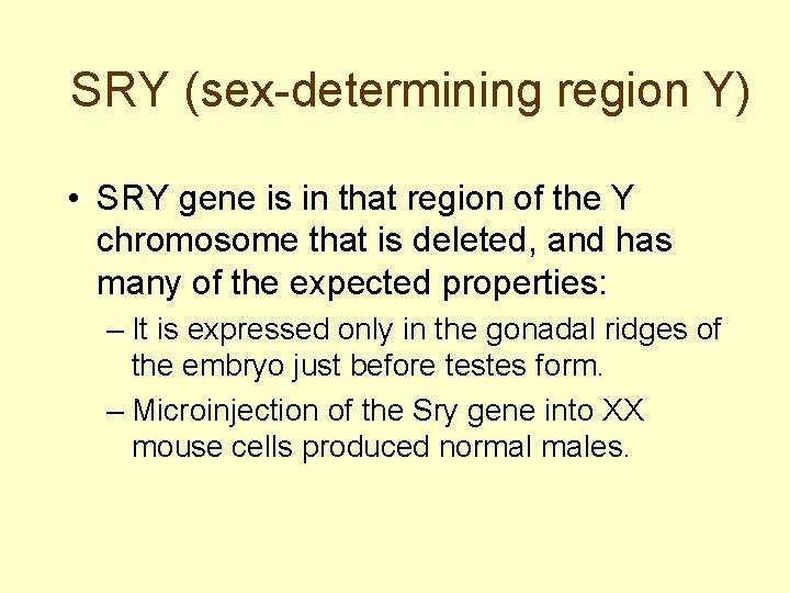 SRY (sex-determining region Y) • SRY gene is in that region of the Y