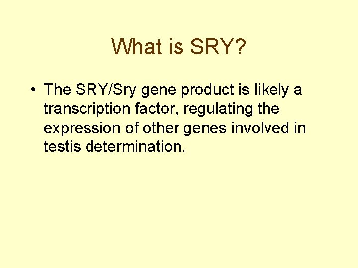 What is SRY? • The SRY/Sry gene product is likely a transcription factor, regulating