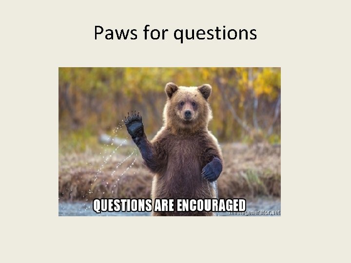 Paws for questions 