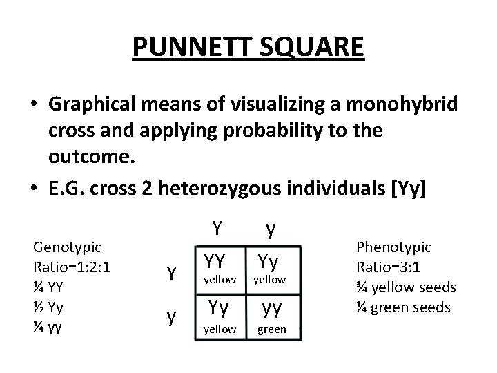 PUNNETT SQUARE • Graphical means of visualizing a monohybrid cross and applying probability to