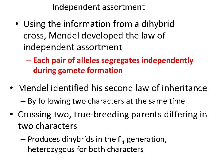 Independent assortment • Using the information from a dihybrid cross, Mendel developed the law