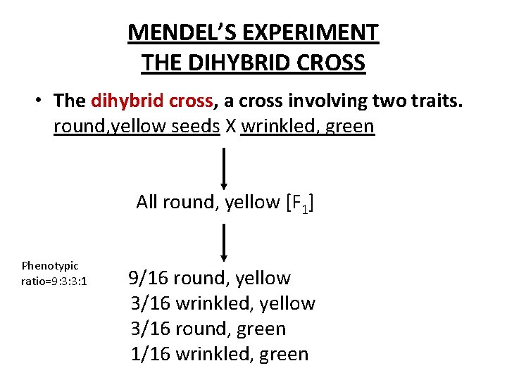 MENDEL’S EXPERIMENT THE DIHYBRID CROSS • The dihybrid cross, a cross involving two traits.