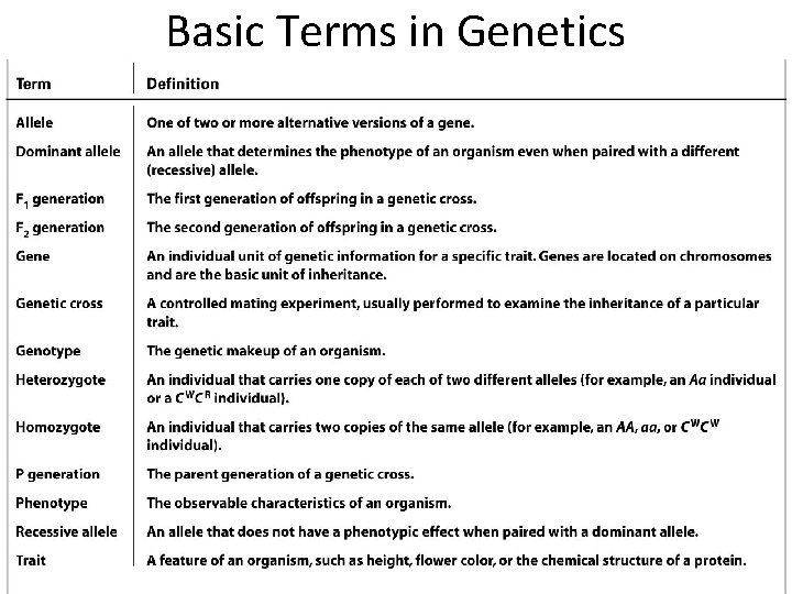 Basic Terms in Genetics 